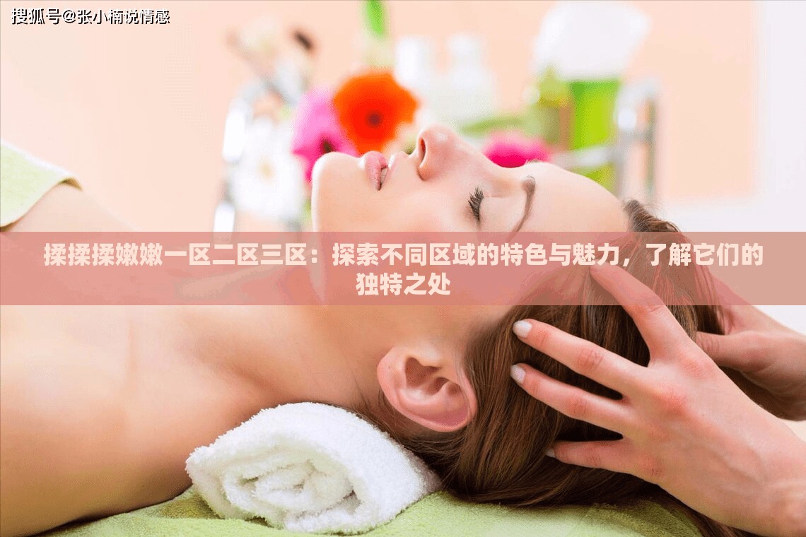 揉揉揉嫩嫩一區(qū)二區(qū)三區(qū)：探索不同區(qū)域的特色與魅力，了解它們的獨(dú)特之處