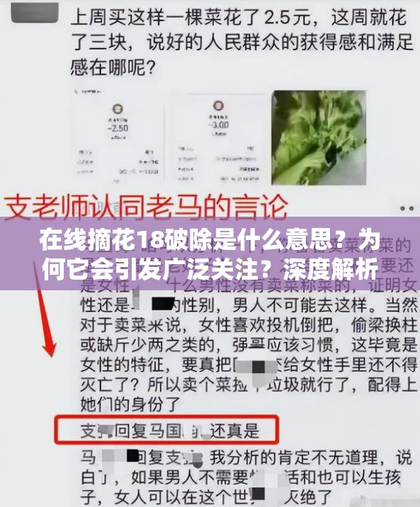 在線摘花18破除是什么意思？為何它會引發(fā)廣泛關(guān)注？深度解析其內(nèi)涵