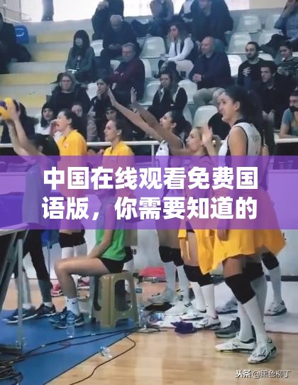 中國在線觀看免費(fèi)國語版，你需要知道的一切