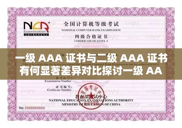 一級(jí) AAA 證書與二級(jí) AAA 證書有何顯著差異對(duì)比探討一級(jí) AAA 證書和二級(jí) AAA 證書區(qū)別究竟在哪里對(duì)比分析一級(jí) AAA 證書與二級(jí) AAA 證書優(yōu)劣對(duì)比解讀關(guān)鍵在哪