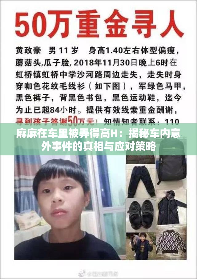 麻麻在車里被弄得高H：揭秘車內(nèi)意外事件的真相與應對策略