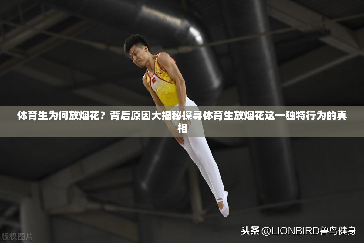 體育生為何放煙花？背后原因大揭秘探尋體育生放煙花這一獨特行為的真相