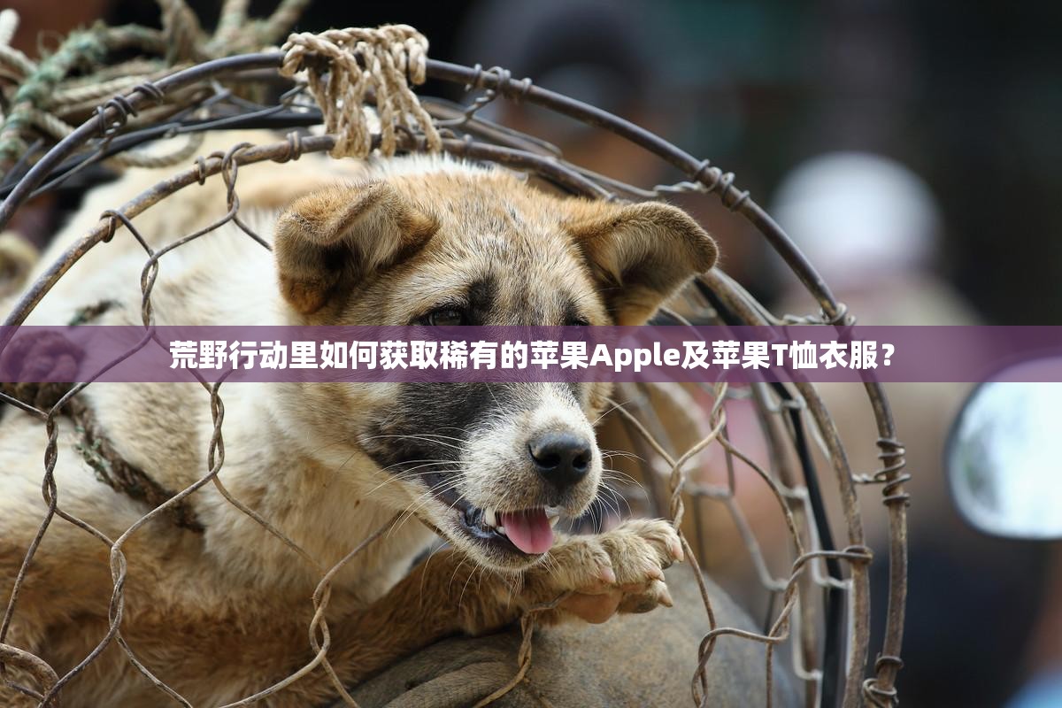 荒野行動(dòng)里如何獲取稀有的蘋果Apple及蘋果T恤衣服？
