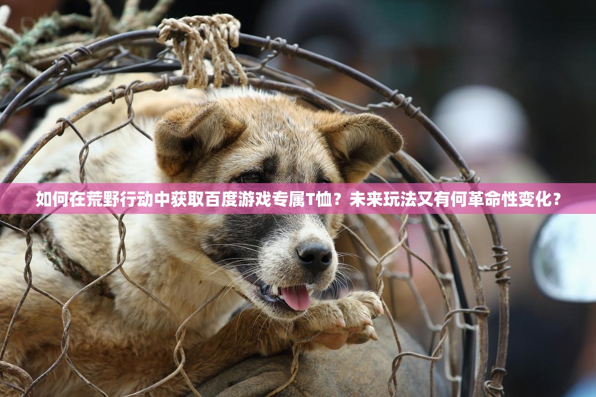 如何在荒野行動(dòng)中獲取百度游戲?qū)賂恤？未來玩法又有何革命性變化？