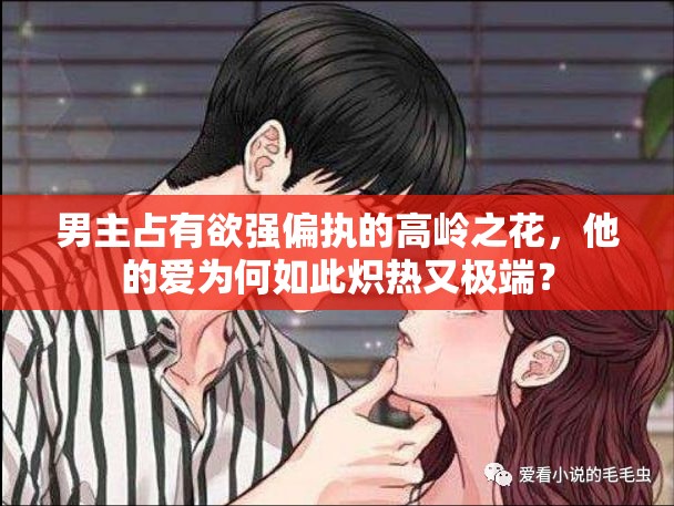男主占有欲強(qiáng)偏執(zhí)的高嶺之花，他的愛為何如此熾熱又極端？