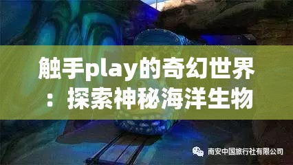 觸手play的奇幻世界：探索神秘海洋生物的奇妙互動(dòng)與趣味玩法大揭秘