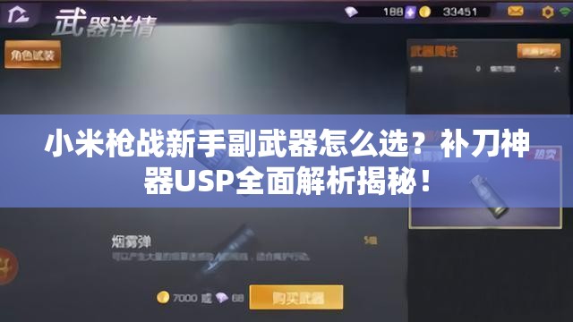 小米槍戰(zhàn)新手副武器怎么選？補刀神器USP全面解析揭秘！