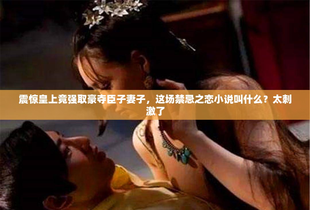 震驚皇上竟強(qiáng)取豪奪臣子妻子，這場禁忌之戀小說叫什么？太刺激了