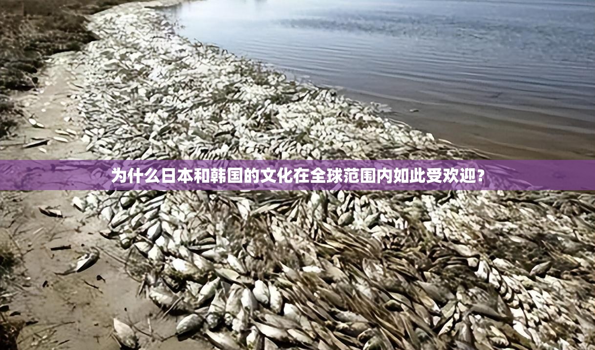 為什么日本和韓國的文化在全球范圍內(nèi)如此受歡迎？