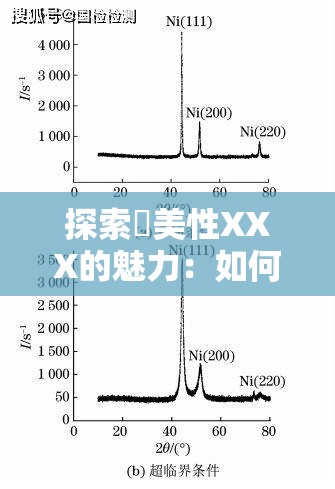 探索欭美性XXX的魅力：如何通過(guò)獨(dú)特視角提升生活品質(zhì)與審美體驗(yàn)？