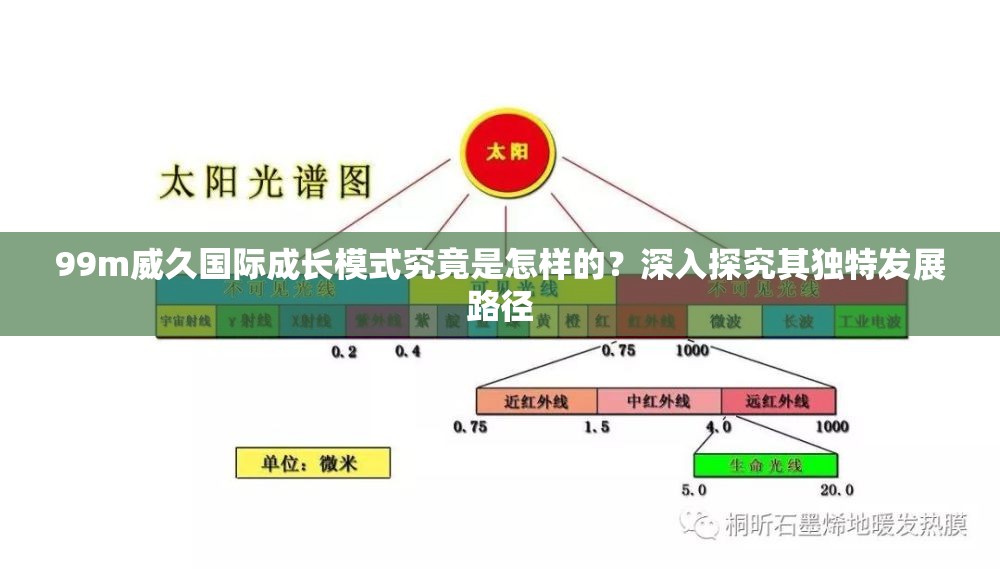 99m威久國(guó)際成長(zhǎng)模式究竟是怎樣的？深入探究其獨(dú)特發(fā)展路徑