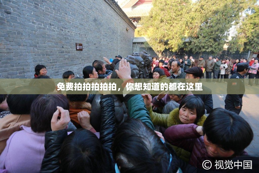 免費(fèi)拍拍拍拍拍，你想知道的都在這里