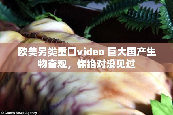 歐美另類重囗video 巨大國(guó)產(chǎn)生物奇觀，你絕對(duì)沒見過