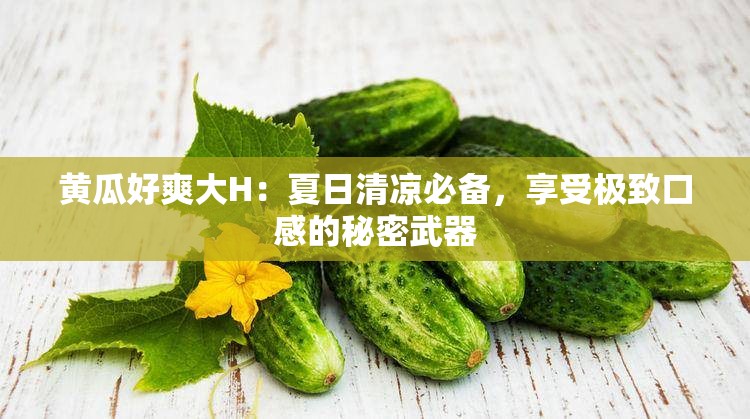 黃瓜好爽大H：夏日清涼必備，享受極致口感的秘密武器