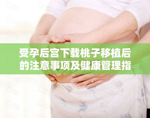 受孕后宮下載桃子移植后的注意事項及健康管理指南：全面解析孕期護理與營養(yǎng)補充