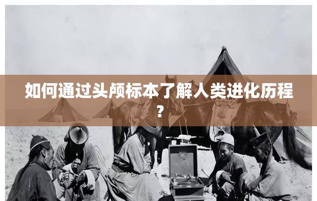 如何通過頭顱標(biāo)本了解人類進(jìn)化歷程？