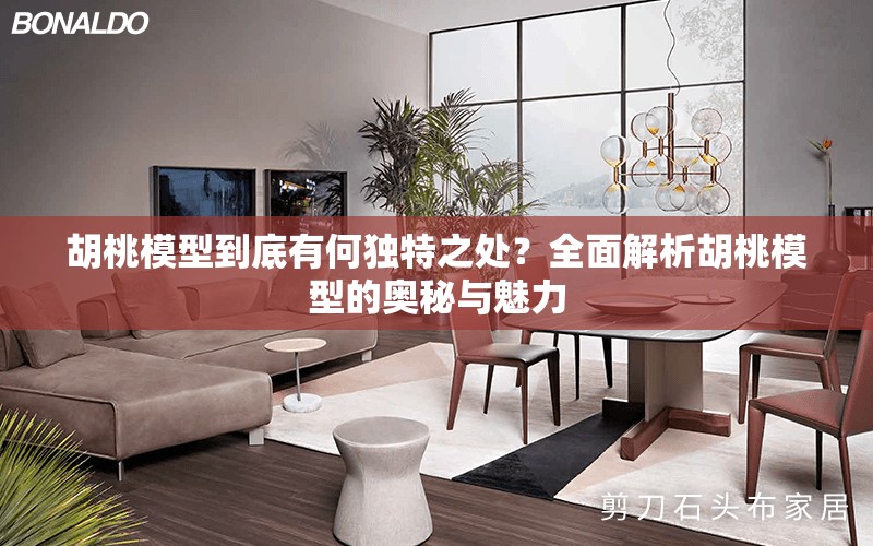 胡桃模型到底有何獨(dú)特之處？全面解析胡桃模型的奧秘與魅力