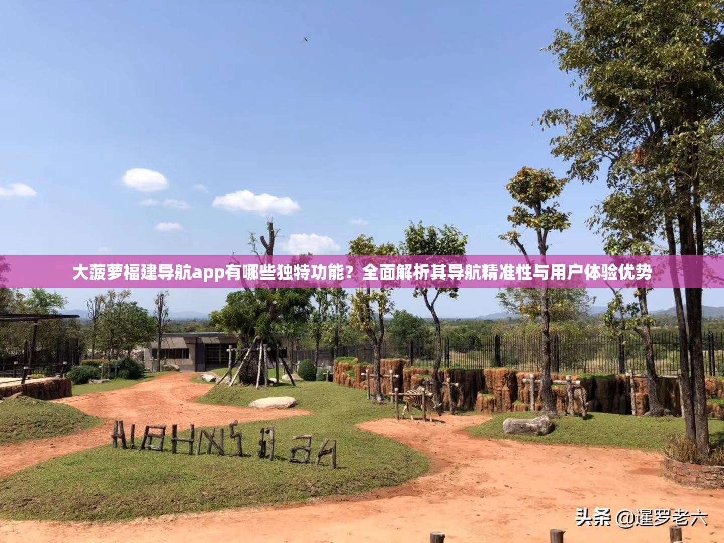 大菠蘿福建導(dǎo)航app有哪些獨特功能？全面解析其導(dǎo)航精準(zhǔn)性與用戶體驗優(yōu)勢