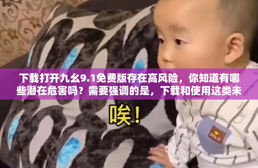下載打開九幺9.1免費(fèi)版存在高風(fēng)險(xiǎn)，你知道有哪些潛在危害嗎？需要強(qiáng)調(diào)的是，下載和使用這類未經(jīng)授權(quán)的軟件可能涉及侵權(quán)和違法，不建議進(jìn)行此類操作