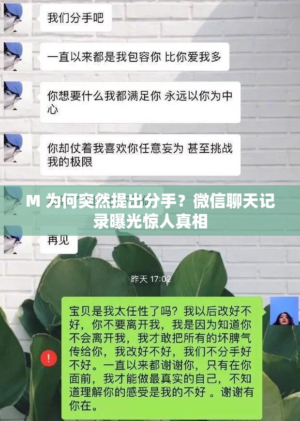 M 為何突然提出分手？微信聊天記錄曝光驚人真相