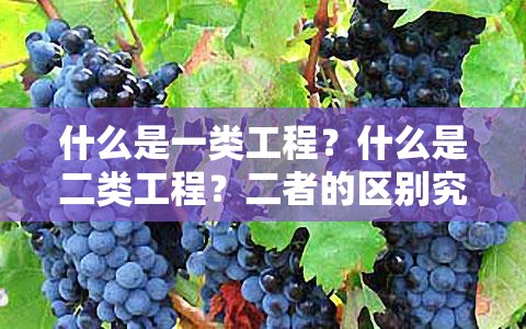 什么是一類工程？什么是二類工程？二者的區(qū)別究竟在哪里？