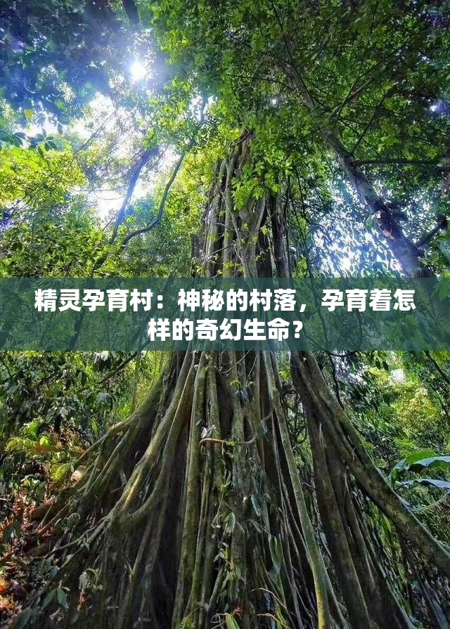 精靈孕育村：神秘的村落，孕育著怎樣的奇幻生命？