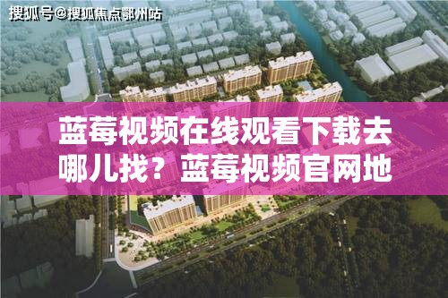 藍(lán)莓視頻在線觀看下載去哪兒找？藍(lán)莓視頻官網(wǎng)地址及下載方法一覽需注意，確保你所提及的內(nèi)容是合法合規(guī)的，避免傳播不良或未經(jīng)授權(quán)的信息