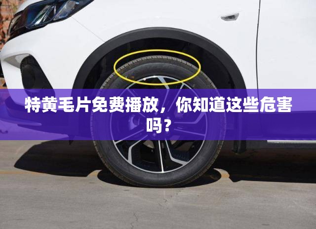 特黃毛片免費播放，你知道這些危害嗎？