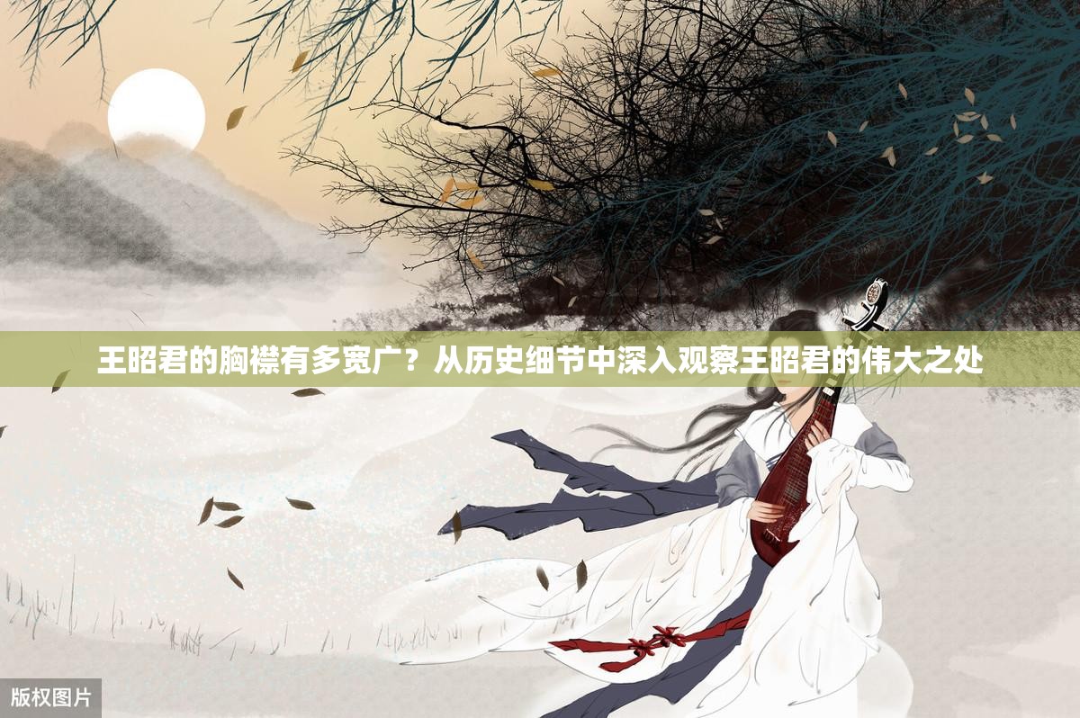 王昭君的胸襟有多寬廣？從歷史細節(jié)中深入觀察王昭君的偉大之處