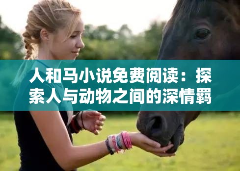 人和馬小說(shuō)免費(fèi)閱讀：探索人與動(dòng)物之間的深情羈絆與命運(yùn)交織