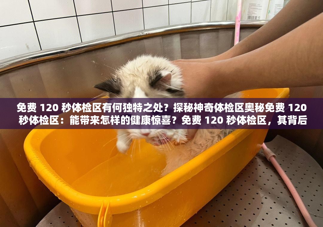 免費 120 秒體檢區(qū)有何獨特之處？探秘神奇體檢區(qū)奧秘免費 120 秒體檢區(qū)：能帶來怎樣的健康驚喜？免費 120 秒體檢區(qū)，其背后隱藏著怎樣的健康密碼？