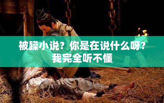 被躁小說？你是在說什么呀？我完全聽不懂