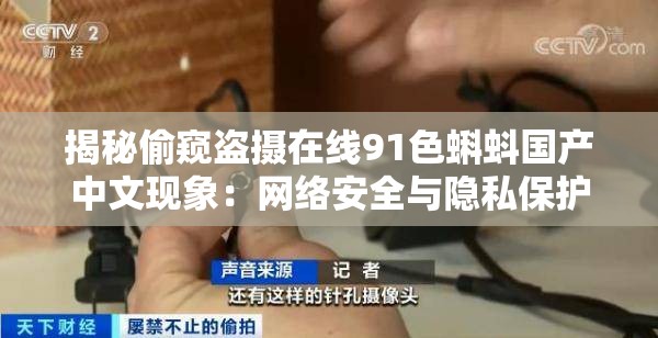 揭秘偷窺盜攝在線91色蝌蚪國產(chǎn)中文現(xiàn)象：網(wǎng)絡(luò)安全與隱私保護(hù)的緊迫議題