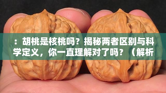 ：胡桃是核桃嗎？揭秘兩者區(qū)別與科學(xué)定義，你一直理解對了嗎？（解析：完整保留關(guān)鍵詞胡桃是核桃嗎，通過疑問句式激發(fā)點擊欲，加入揭秘科學(xué)定義等詞提高權(quán)威性，末句你一直理解對了嗎制造認(rèn)知沖突，符合百度用戶主動求證的心理需求整體符合口語化提問邏輯，同時自然融入植物學(xué)領(lǐng)域關(guān)鍵詞提升搜索權(quán)重）