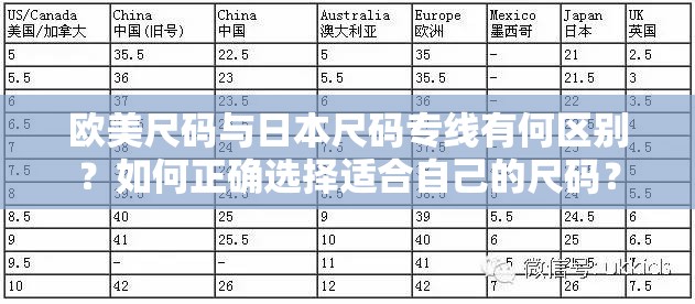 歐美尺碼與日本尺碼專線有何區(qū)別？如何正確選擇適合自己的尺碼？