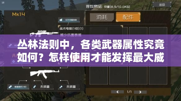 叢林法則中，各類武器屬性究竟如何？怎樣使用才能發(fā)揮最大威力？