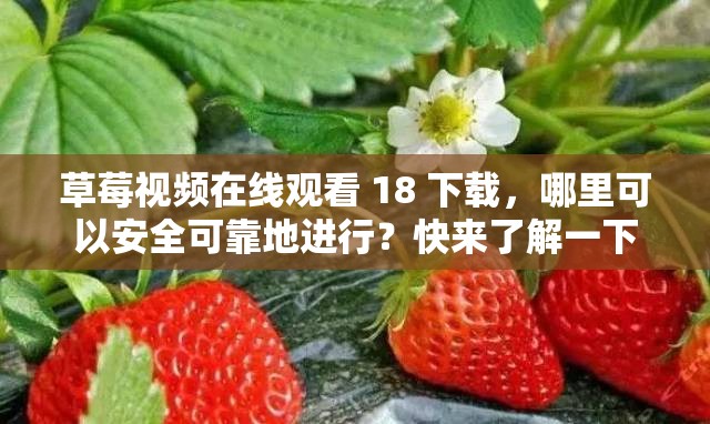 草莓視頻在線觀看 18 下載，哪里可以安全可靠地進行？快來了解一下