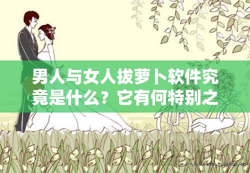 男人與女人拔蘿卜軟件究竟是什么？它有何特別之處和功能？快來一探究竟