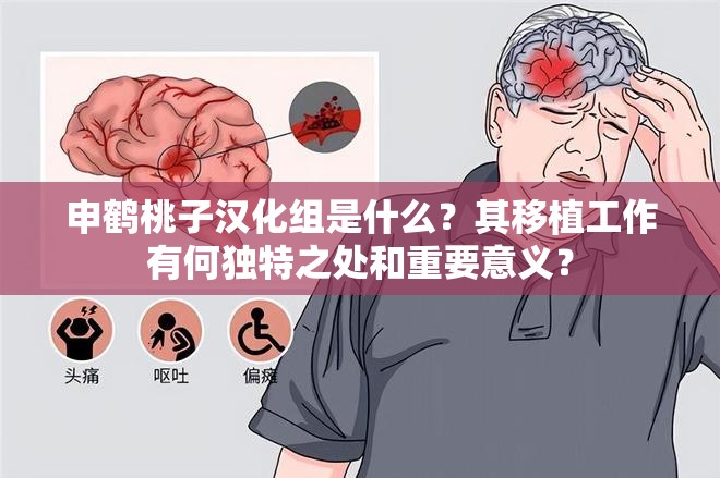 申鶴桃子漢化組是什么？其移植工作有何獨特之處和重要意義？