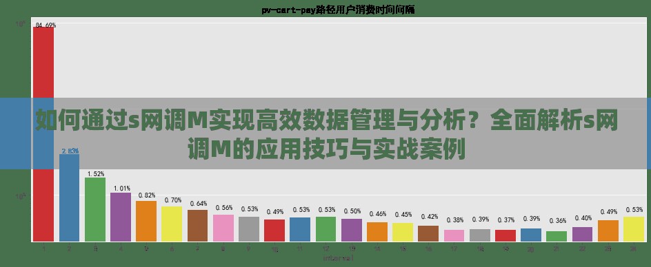 如何通過s網(wǎng)調(diào)M實現(xiàn)高效數(shù)據(jù)管理與分析？全面解析s網(wǎng)調(diào)M的應(yīng)用技巧與實戰(zhàn)案例