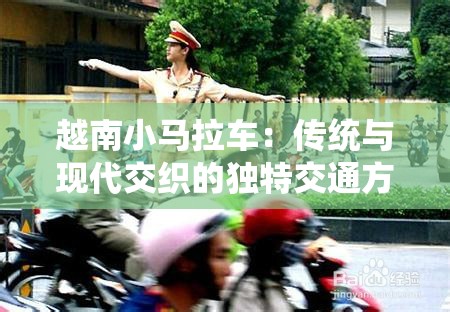 越南小馬拉車：傳統(tǒng)與現(xiàn)代交織的獨(dú)特交通方式，探索其稀缺文化價(jià)值與未來(lái)發(fā)展
