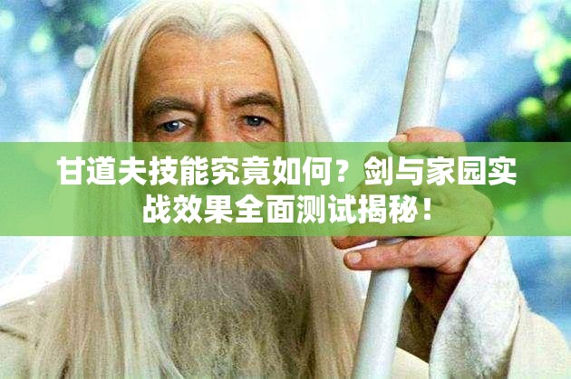 甘道夫技能究竟如何？劍與家園實戰(zhàn)效果全面測試揭秘！
