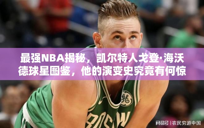 最強NBA揭秘，凱爾特人戈登·海沃德球星圖鑒，他的演變史究竟有何驚人之處？