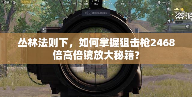 叢林法則下，如何掌握狙擊槍2468倍高倍鏡放大秘籍？
