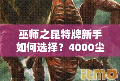 巫師之昆特牌新手如何選擇？4000塵天氣位移松鼠卡組值得一試嗎？