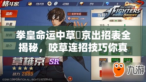 拳皇命運中草薙京出招表全揭秘，咬草連招技巧你真的掌握了嗎？