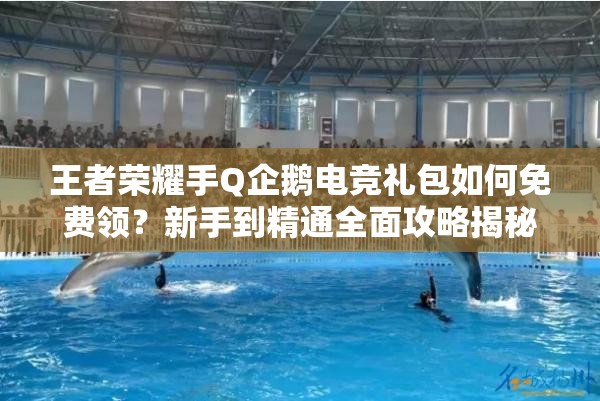 王者榮耀手Q企鵝電競禮包如何免費領(lǐng)？新手到精通全面攻略揭秘！
