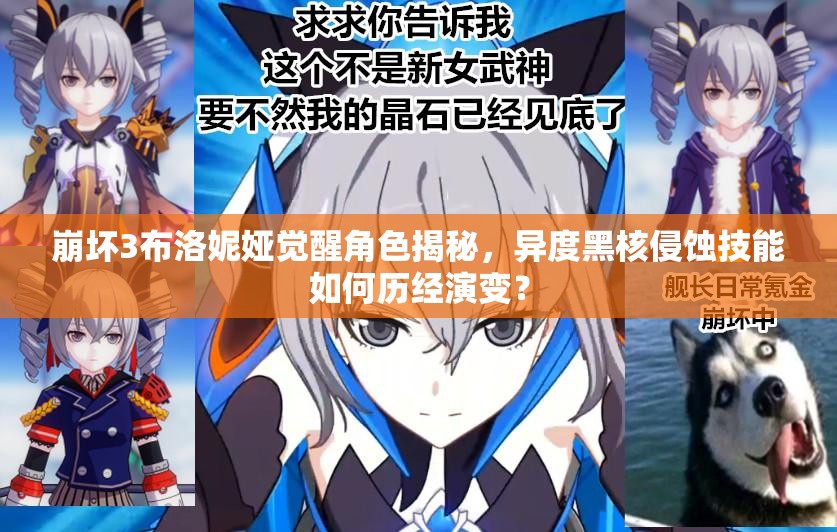 崩壞3布洛妮婭覺醒角色揭秘，異度黑核侵蝕技能如何歷經(jīng)演變？
