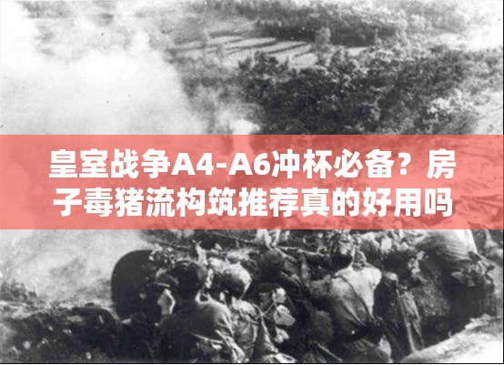皇室戰(zhàn)爭A4-A6沖杯必備？房子毒豬流構(gòu)筑推薦真的好用嗎？