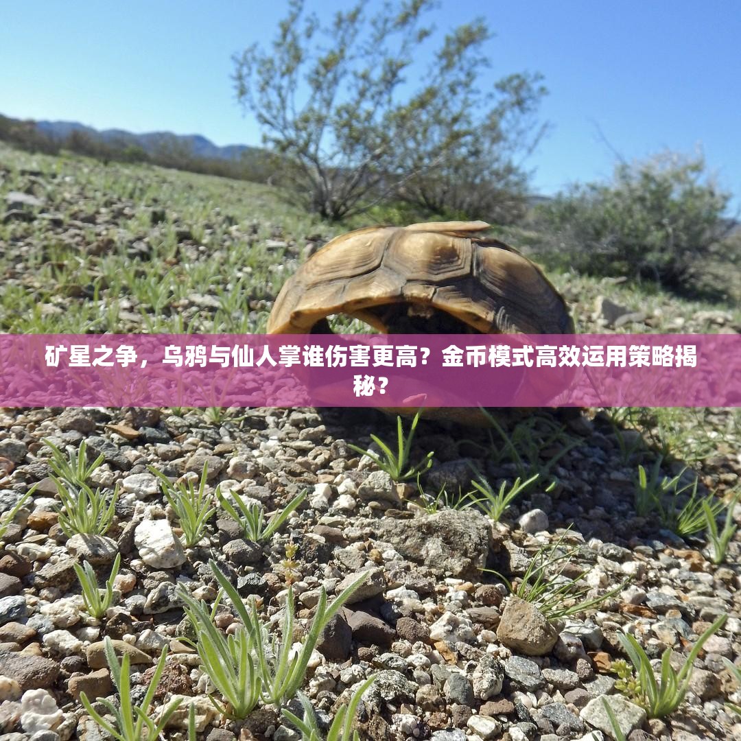 礦星之爭，烏鴉與仙人掌誰傷害更高？金幣模式高效運用策略揭秘？